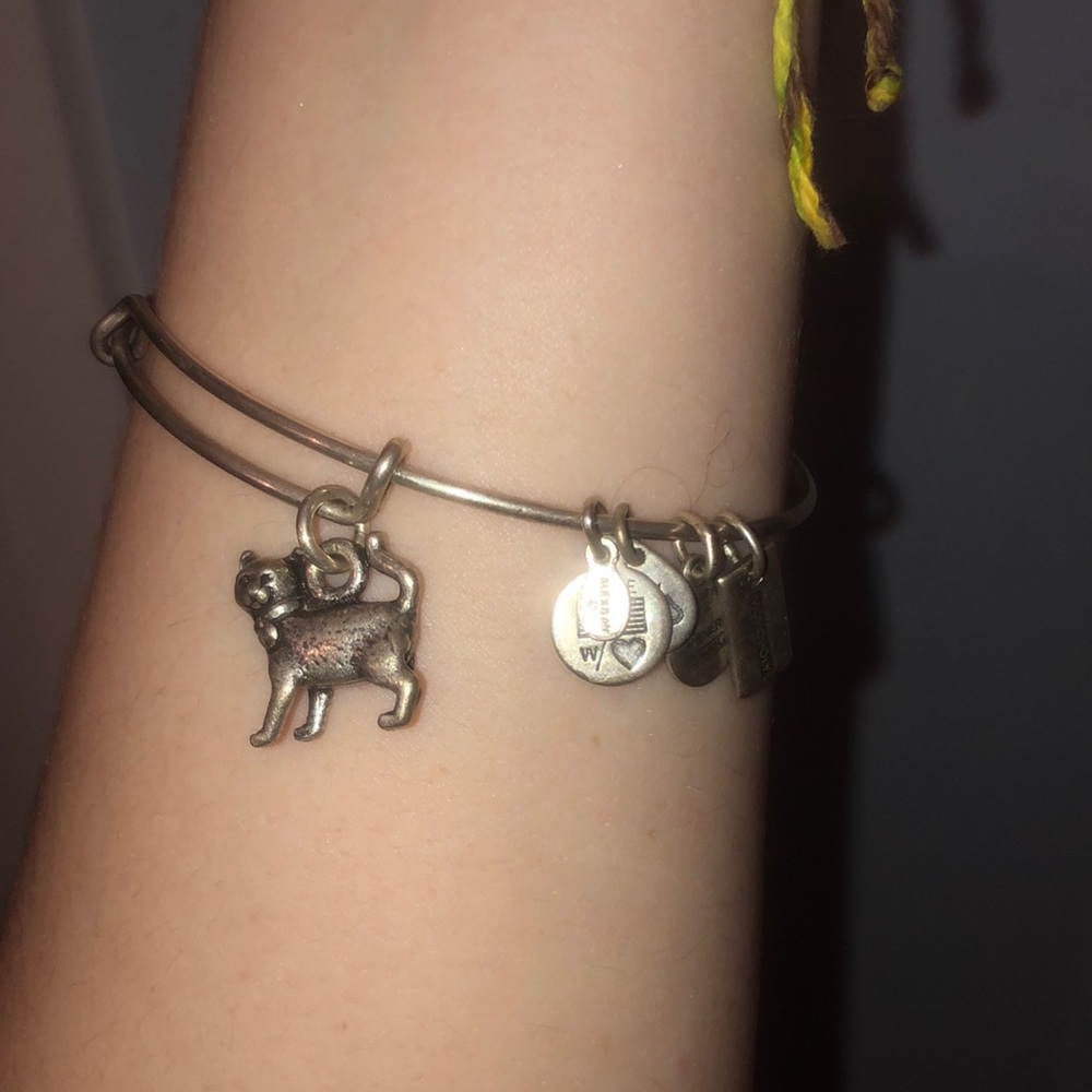 Alex and Ani Silver Cat Charm Bracelet